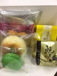 ガトウ専科礎店