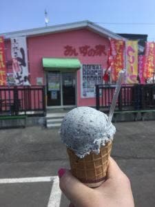 あいすの家 栗山店