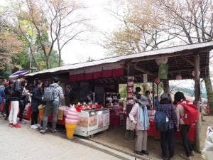 上千本 御幸の芝