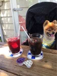 Kiitos