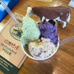 橋本牧場 イタリアンジェラート アイス工房
