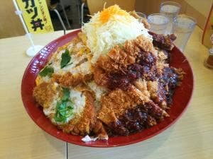 かつさと 田原めっくんはうす店