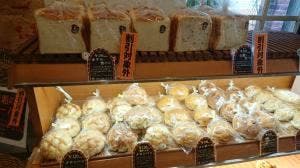 バッケンハイム ボルガ 本店