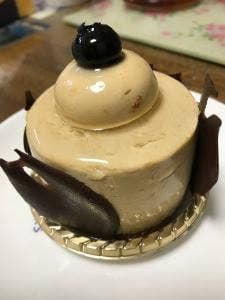 もみの樹