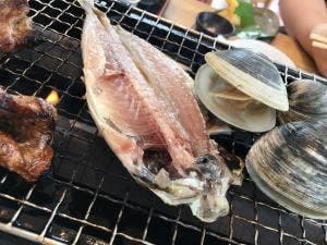 舫い船