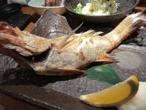 旬魚旬菜 極DINING若旦那 新潟駅前店