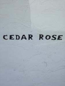 Cedar Rose