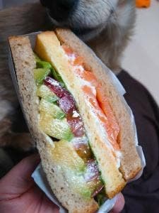 シェフズプレス 北千住マルイ店