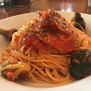 ぶなの森 ブナノモリ