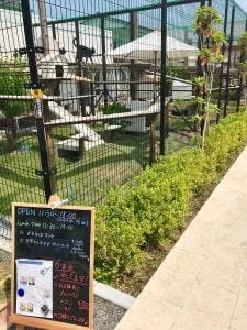 猫に会える隠れ家cafe catnap