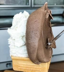 藤原養蜂場 本店