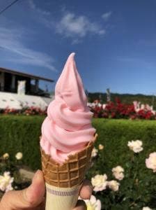 よしうみローズ館