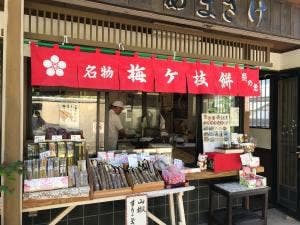 照の恵