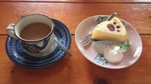 猫も遊べる喫茶店 毛玉