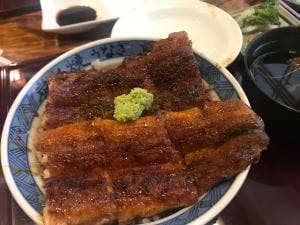郡上炭火焼うなぎの魚寅