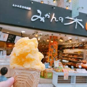 えひめ果実倶楽部みかんの木 ハイカラ通り店