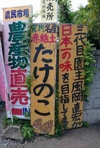 風岡たけのこ園