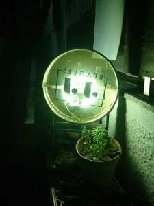 ビーグルズジェイジェイカフェ