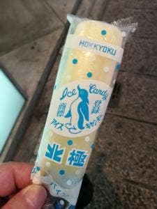 北極