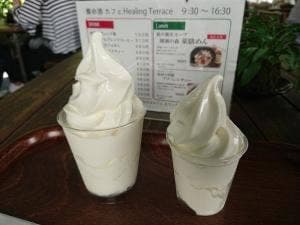 ヒーリングテラス