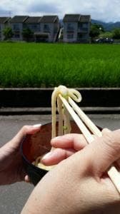野原製麺所