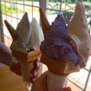 マキノピックランド