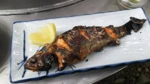 岩戸観光ガーデン