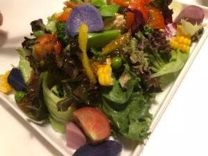 KAMITANAKA BASE DINER