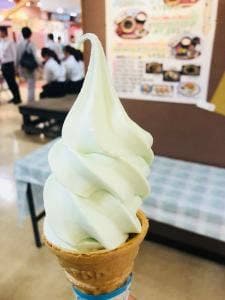 伊豆わさびminiミュージアム