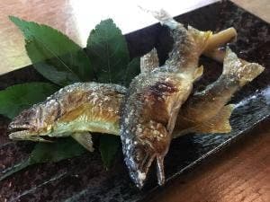 はせ川