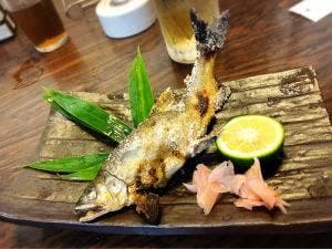 土佐料理 寿し一