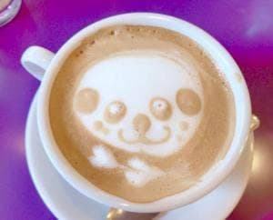 CAFE SUMIRE