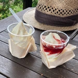 Café Rose Garden