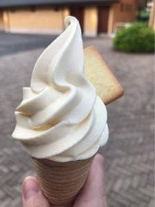 なばなの里 村の市