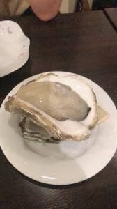 Oysterbar W
