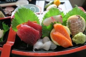 屋形船 むつみ丸