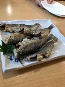 ますの茶屋