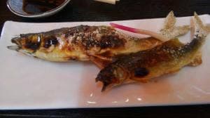 鯉西つけば