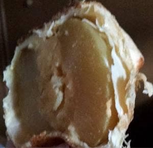 ラグノオ ユニバース南大町店