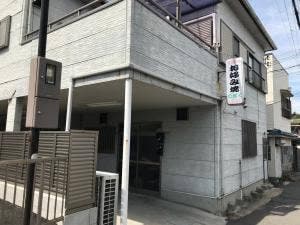 のぎく