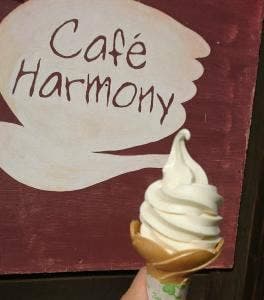 Cafe Harmony