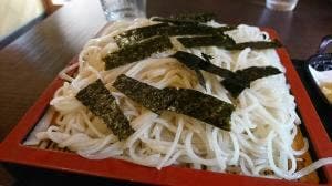 せんがく