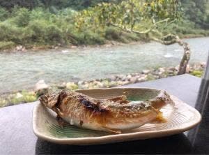 天然鮎料理 おもだか