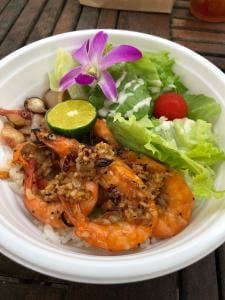 古宇利島ジャックマニー KOURIJIMA JACKMANII