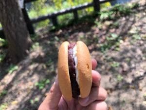 ヴェルジェ・二幸