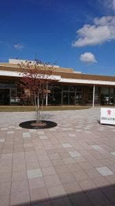 Logy’s Picnic mart