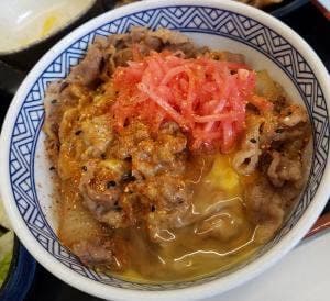 吉野家 ドーチカ店