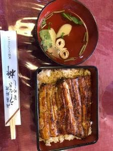 うなぎ柳