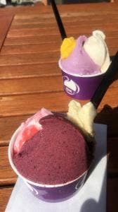 ニッコウジェラート だいやの森旬菜館
