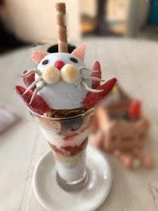 ジャコデス